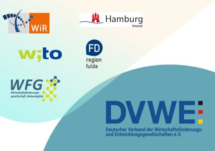 Logo DVWE
